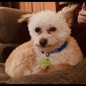 Meet your Posher, Mark